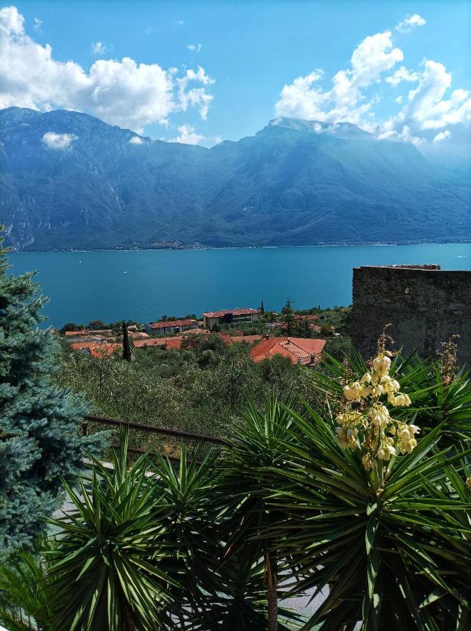 Villa Fior Di Loto Limone sul Garda Exterior foto