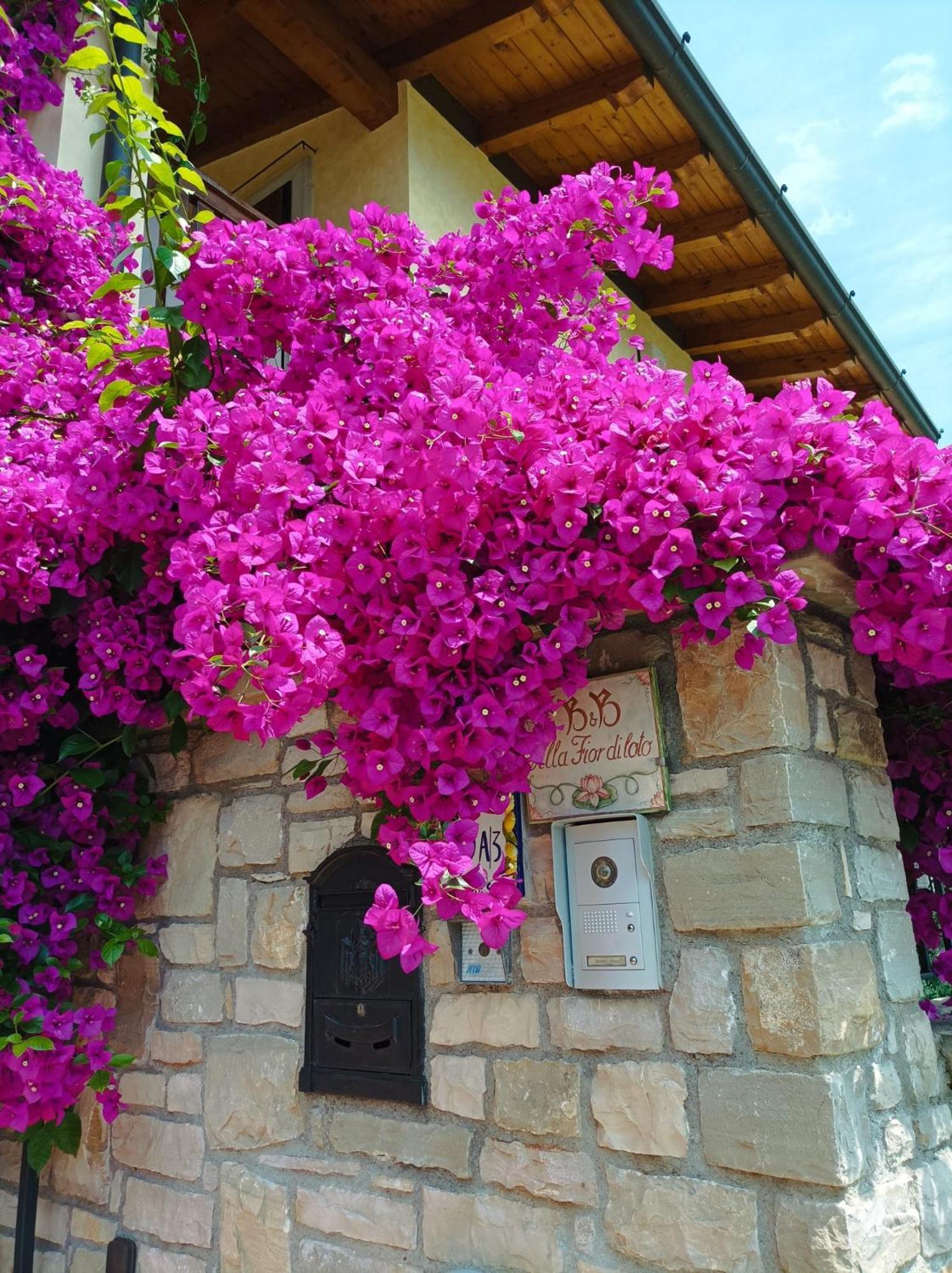 Villa Fior Di Loto Limone sul Garda Exterior foto